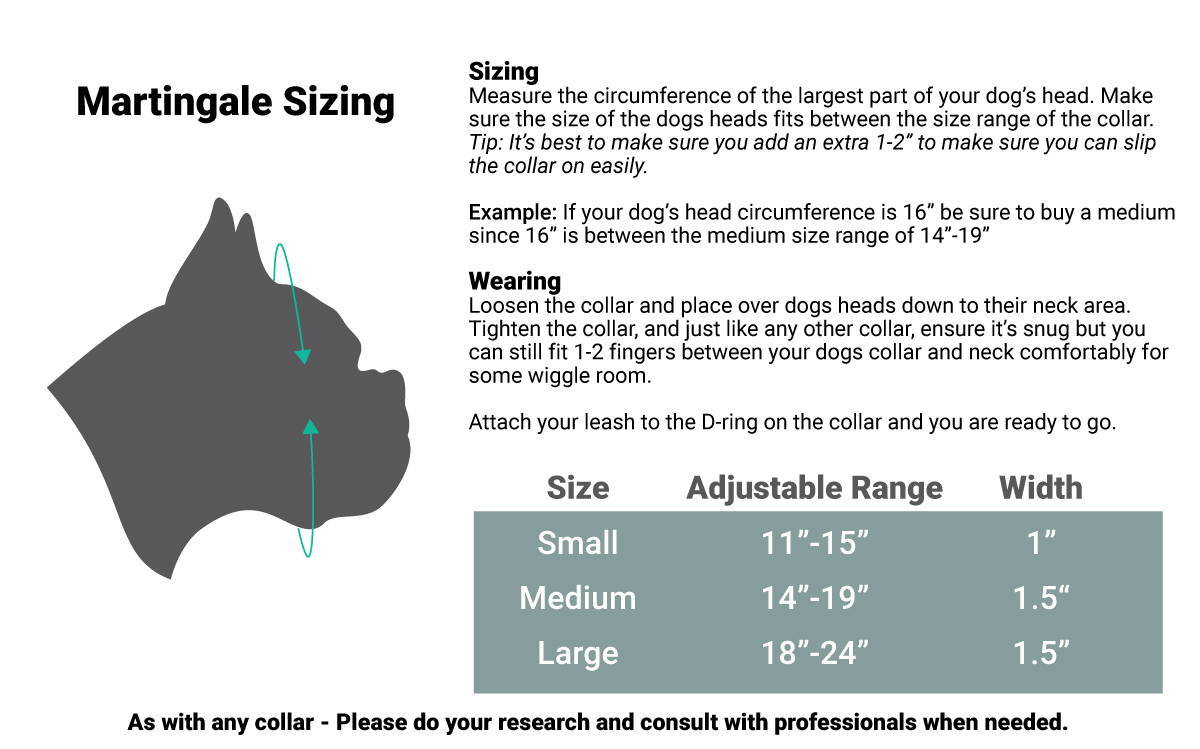 The Best Life Martingale Collar What, Why, & How? Best Life Leashes